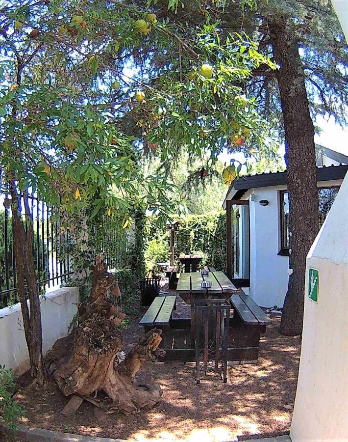 Kuru-Kuru Guesthouse Kuruman Dış mekan fotoğraf